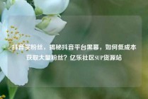 抖音买粉丝，揭秘抖音平台黑幕，如何低成本获取大量粉丝？亿乐社区SUP货源站