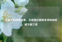 受美关税政策拖累，丰田预计新财年净利润将减少超三成