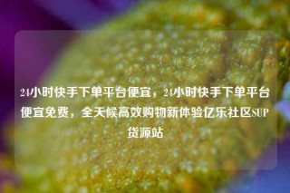 24小时快手下单平台便宜，24小时快手下单平台便宜免费，全天候高效购物新体验亿乐社区SUP货源站
