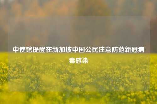 中使馆提醒在新加坡中国公民注意防范新冠病毒感染  第1张