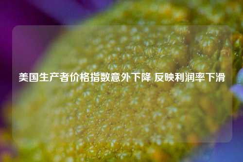 美国生产者价格指数意外下降 反映利润率下滑  第1张