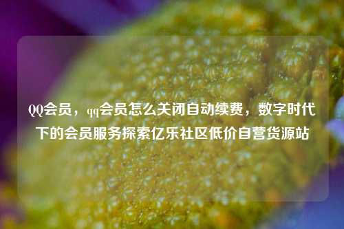 QQ会员，qq会员怎么关闭自动续费，数字时代下的会员服务探索亿乐社区低价自营货源站  第1张