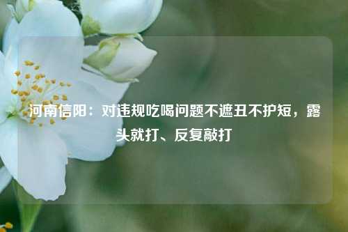河南信阳：对违规吃喝问题不遮丑不护短，露头就打、反复敲打  第1张