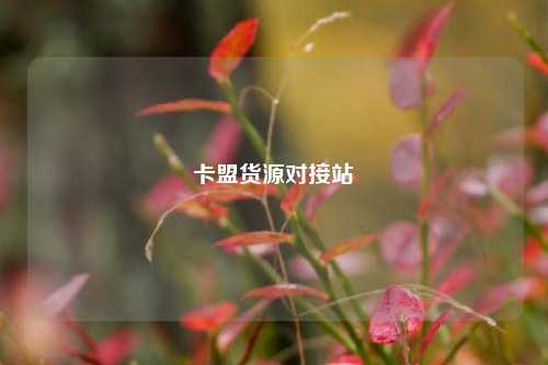 卡盟货源对接站  第1张