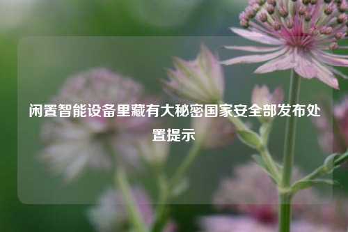 闲置智能设备里藏有大秘密国家安全部发布处置提示  第1张