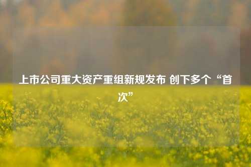 上市公司重大资产重组新规发布 创下多个“首次”  第1张