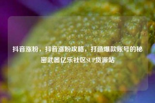 抖音涨粉，抖音涨粉攻略，打造爆款账号的秘密武器亿乐社区SUP货源站