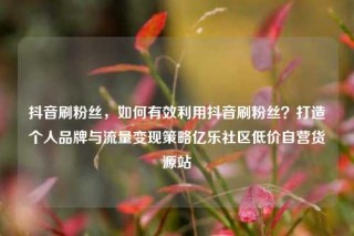 抖音刷粉丝，如何有效利用抖音刷粉丝？打造个人品牌与流量变现策略亿乐社区低价自营货源站