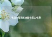 电信19元无限流量卡怎么收费