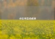 小红书互动成本