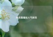 抖音直播挂人气软件