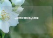 qq游戏在哪充值q币划算