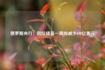 俄罗斯央行：国际储备一周内减少198亿美元