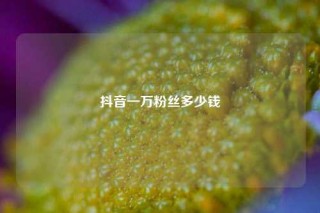 抖音一万粉丝多少钱