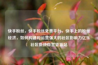 快手粉丝，快手粉丝免费平台，快手上的粉丝经济，如何构建和运营强大的社区影响力亿乐社区低价自营货源站