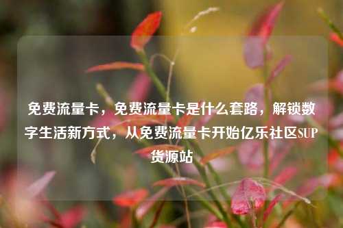 免费流量卡，免费流量卡是什么套路，解锁数字生活新方式，从免费流量卡开始亿乐社区SUP货源站  第1张