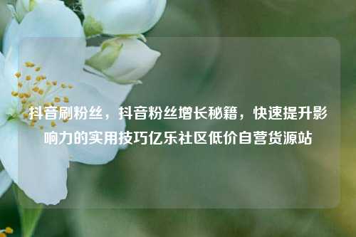 抖音刷粉丝，抖音粉丝增长秘籍，快速提升影响力的实用技巧亿乐社区低价自营货源站  第1张
