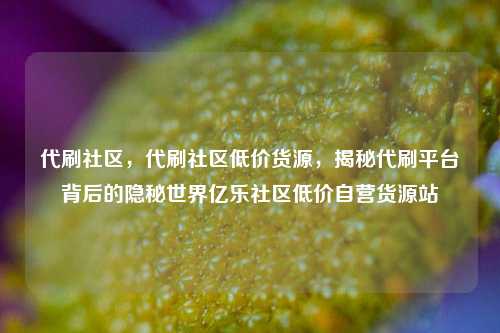 代刷社区，代刷社区低价货源，揭秘代刷平台背后的隐秘世界亿乐社区低价自营货源站  第1张