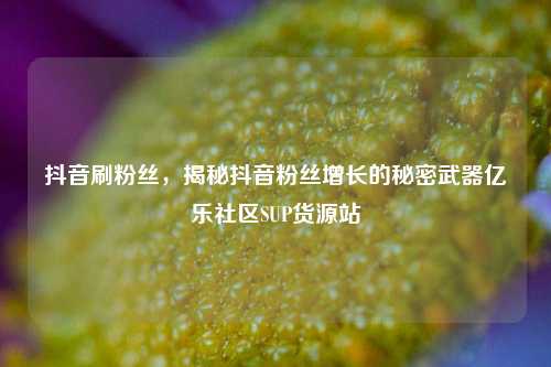 抖音刷粉丝，揭秘抖音粉丝增长的秘密武器亿乐社区SUP货源站  第1张
