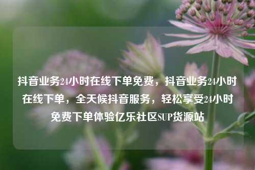 抖音业务24小时在线下单免费，抖音业务24小时在线下单，全天候抖音服务，轻松享受24小时免费下单体验亿乐社区SUP货源站  第1张