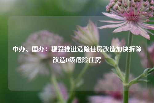 中办	、国办：稳妥推进危险住房改造加快拆除改造D级危险住房  第1张