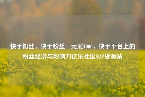 快手粉丝，快手粉丝一元涨1000，快手平台上的粉丝经济与影响力亿乐社区SUP货源站  第1张