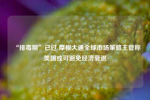 “排毒期”已过 摩根大通全球市场策略主管称美国或可避免经济衰退  第1张