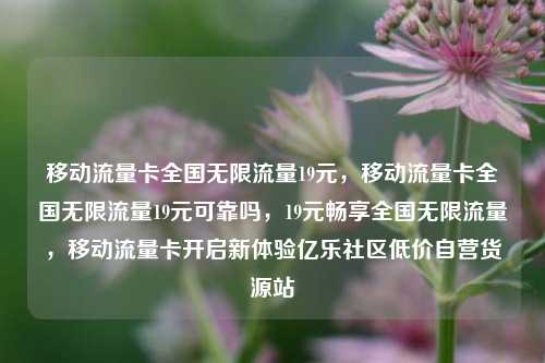 移动流量卡全国无限流量19元，移动流量卡全国无限流量19元可靠吗，19元畅享全国无限流量	，移动流量卡开启新体验亿乐社区低价自营货源站  第1张