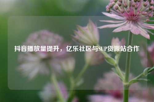抖音播放量提升，亿乐社区与SUP货源站合作  第1张