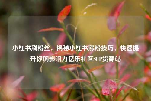 小红书刷粉丝，揭秘小红书涨粉技巧，快速提升你的影响力亿乐社区SUP货源站  第1张