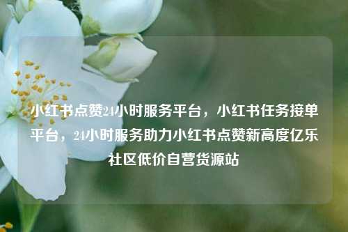 小红书点赞24小时服务平台，小红书任务接单平台，24小时服务助力小红书点赞新高度亿乐社区低价自营货源站  第1张
