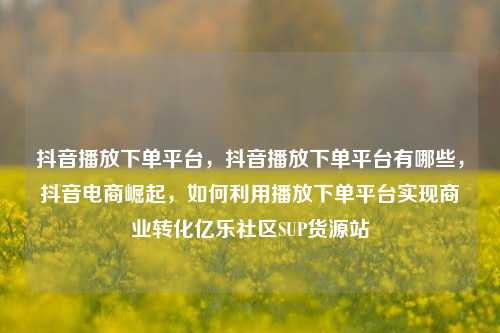 抖音播放下单平台，抖音播放下单平台有哪些，抖音电商崛起，如何利用播放下单平台实现商业转化亿乐社区SUP货源站  第1张