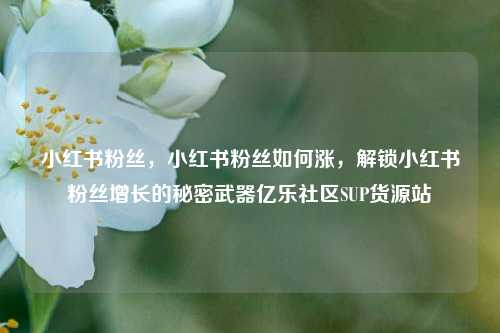 小红书粉丝，小红书粉丝如何涨，解锁小红书粉丝增长的秘密武器亿乐社区SUP货源站  第1张