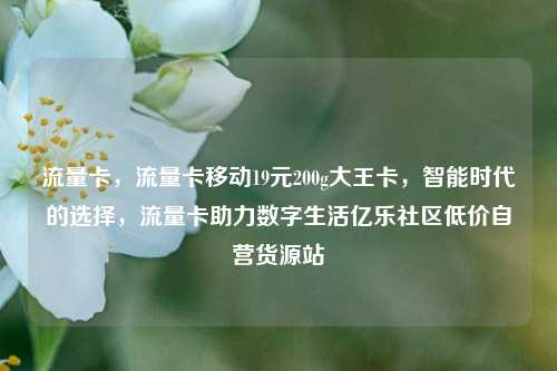 流量卡，流量卡移动19元200g大王卡，智能时代的选择，流量卡助力数字生活亿乐社区低价自营货源站  第1张