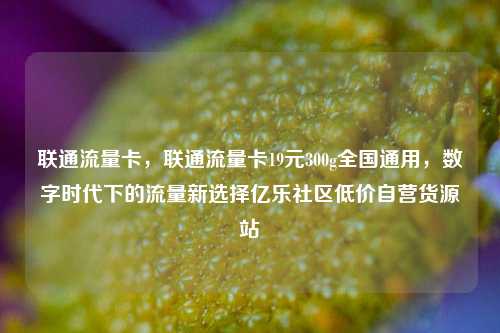 联通流量卡，联通流量卡19元300g全国通用，数字时代下的流量新选择亿乐社区低价自营货源站  第1张