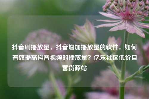 抖音刷播放量，抖音增加播放量的软件	，如何有效提高抖音视频的播放量？亿乐社区低价自营货源站  第1张