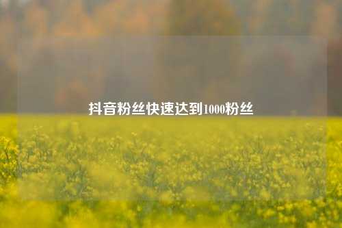 抖音粉丝快速达到1000粉丝  第1张