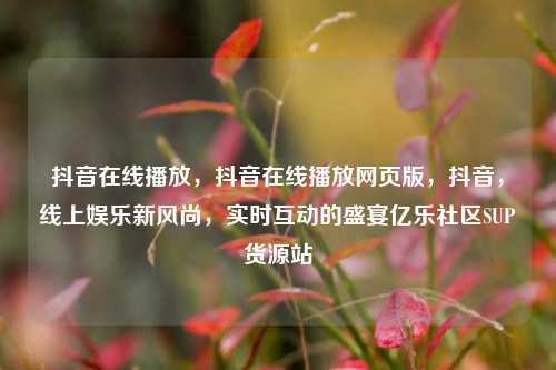抖音在线播放	，抖音在线播放网页版，抖音，线上娱乐新风尚	，实时互动的盛宴亿乐社区SUP货源站  第1张