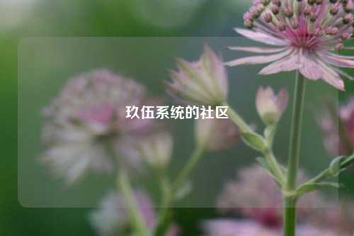 玖伍系统的社区  第1张