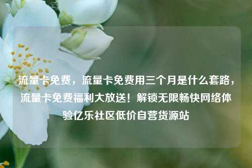 流量卡免费，流量卡免费用三个月是什么套路	，流量卡免费福利大放送！解锁无限畅快网络体验亿乐社区低价自营货源站  第1张