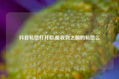 抖音私信打开后,能收到之前的私信么  第1张