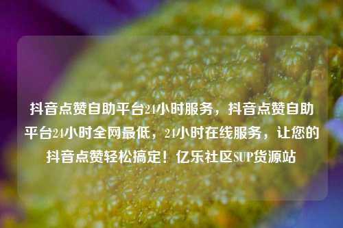 抖音点赞自助平台24小时服务，抖音点赞自助平台24小时全网最低	，24小时在线服务，让您的抖音点赞轻松搞定！亿乐社区SUP货源站  第1张