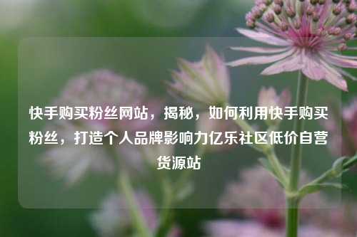 快手购买粉丝网站，揭秘	，如何利用快手购买粉丝，打造个人品牌影响力亿乐社区低价自营货源站  第1张