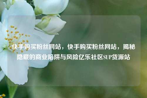 快手购买粉丝网站，快手购买粉丝网站	，揭秘隐藏的商业陷阱与风险亿乐社区SUP货源站  第1张