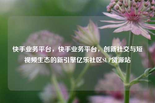 快手业务平台，快手业务平台	，创新社交与短视频生态的新引擎亿乐社区SUP货源站  第1张
