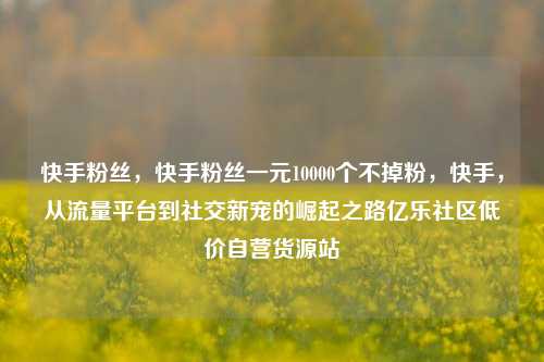 快手粉丝，快手粉丝一元10000个不掉粉	，快手，从流量平台到社交新宠的崛起之路亿乐社区低价自营货源站  第1张