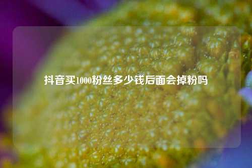抖音买1000粉丝多少钱后面会掉粉吗  第1张