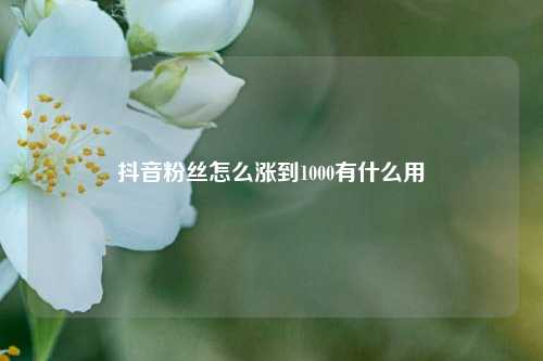 抖音粉丝怎么涨到1000有什么用  第1张