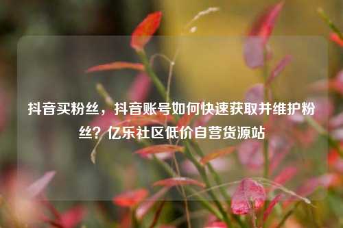 抖音买粉丝，抖音账号如何快速获取并维护粉丝？亿乐社区低价自营货源站  第1张