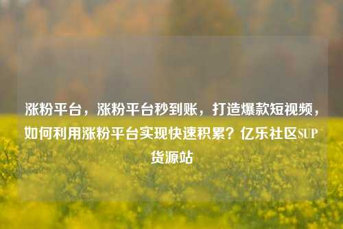 涨粉平台，涨粉平台秒到账，打造爆款短视频	，如何利用涨粉平台实现快速积累？亿乐社区SUP货源站  第1张